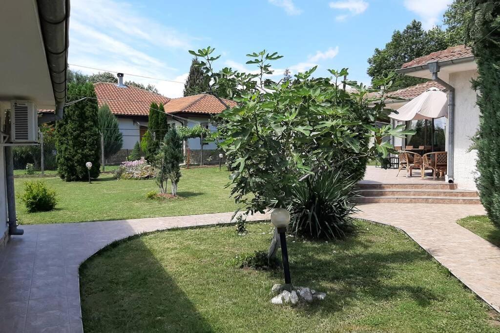 Guesthouse Oasis-Shabla Eksteriør billede
