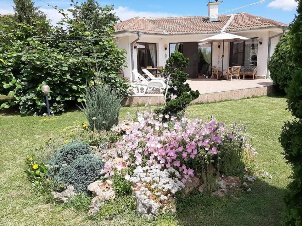 Guesthouse Oasis-Shabla Eksteriør billede